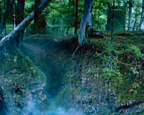 tumblr_lxi5x25EW41qf418uo2_500