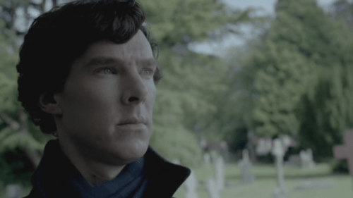 tumblr_m8sbreh5tL1r7oamy