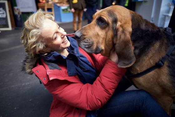 15665606_1325379200858307_2748670130223534461_n